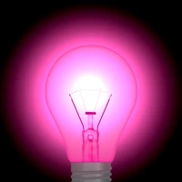 Pink Light