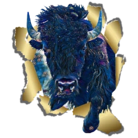 Animal Insight Oracle Cards