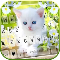 White Cute Kitty Tema