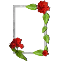 Çiçek fotoğraf Çerçeveler