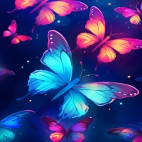 Butterfly Wallpapers - HD