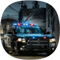 Polis Radyosu Sesleri