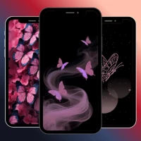 Butterfly Wallpaper HD 4K