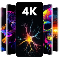 Duvar Kağıdı Arka Planı