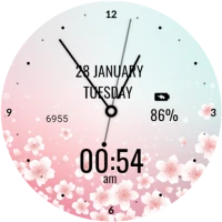 Pink Blossom Love Watch Face