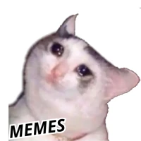 Cat Memes Stickers WASticker