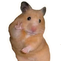 Etiketler Memes - WASticker