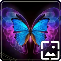 Butterfly Wallpapers Hd