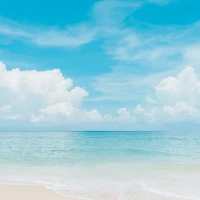 Summer Beach Vibes Theme +HOME