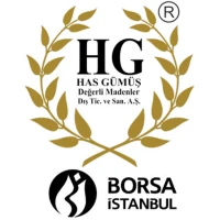 Has Gümüş Değerli Madenler