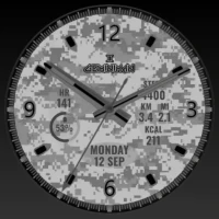 Snow Digital Camo Analog