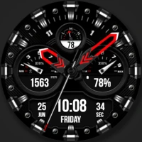 WFP 225 Hybrid watch face
