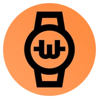 Watch Crypto Complication