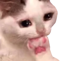 WASticker Çıkartma Memleri