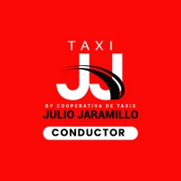 Conductor Taxi JJ 3.0