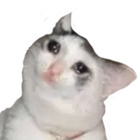 Etiketler Memler WASticker