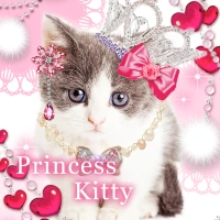 Princess Kitty Tema +HOME