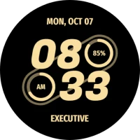 Embassy 3: Minimal Watch Face