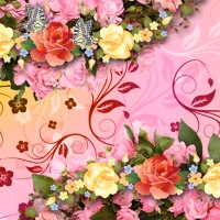 Butterfly Bait Wallpaper Theme