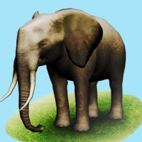 GERÇEK HAYVANLAR HD (Tam)