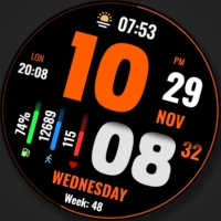 WFP 219 Stylish watch face