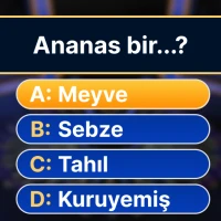 Milyoner 2025 - Test Oyunu