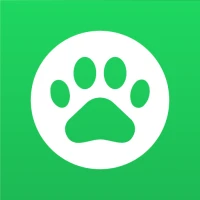 Lingoland - İngilizce Öğren