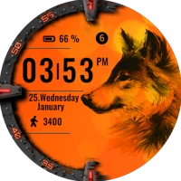 Orange Fox Watch Face