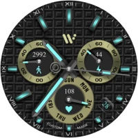 Analog Basic 31 WF Wear OS 4+